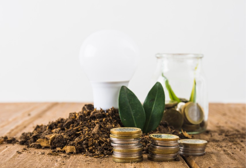 Energy-Efficient DIY Improvements That Save Money