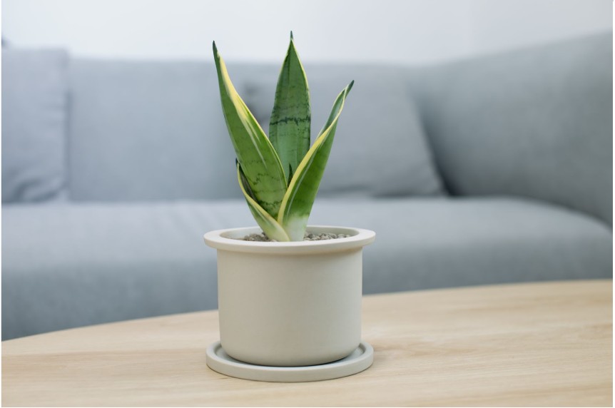 What You Risk by Setting Prices Too High: A Quick Breakdown